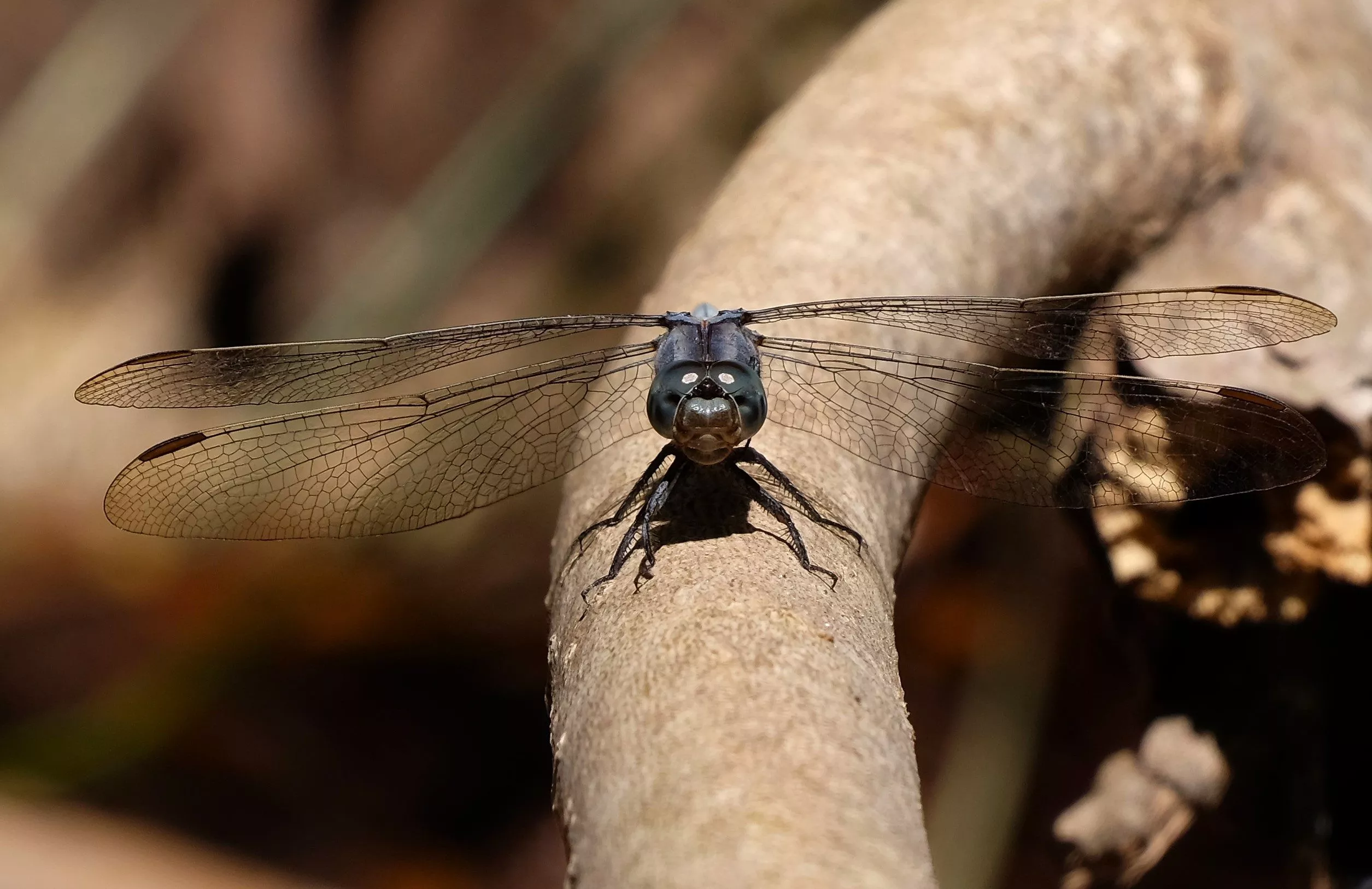 circuits faune et flore en andalousie