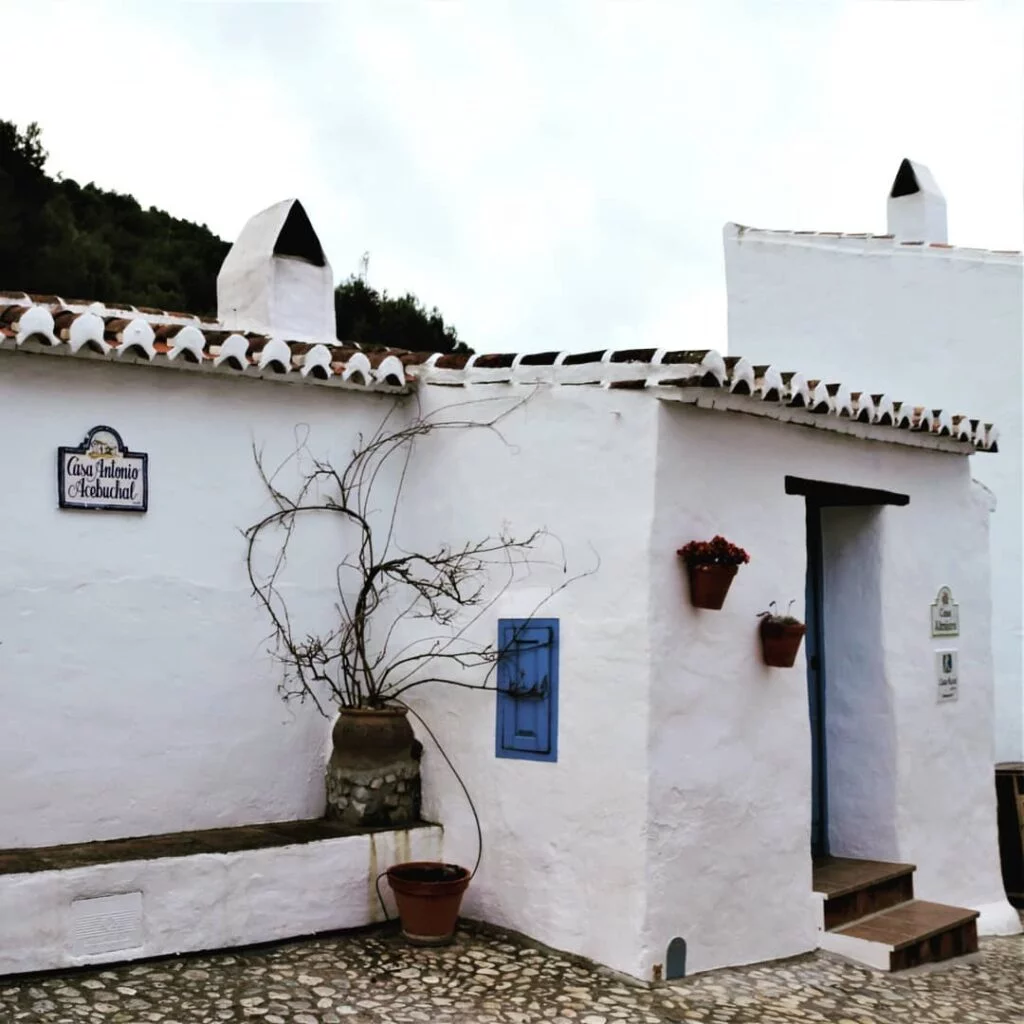 el acebuchal the lost village