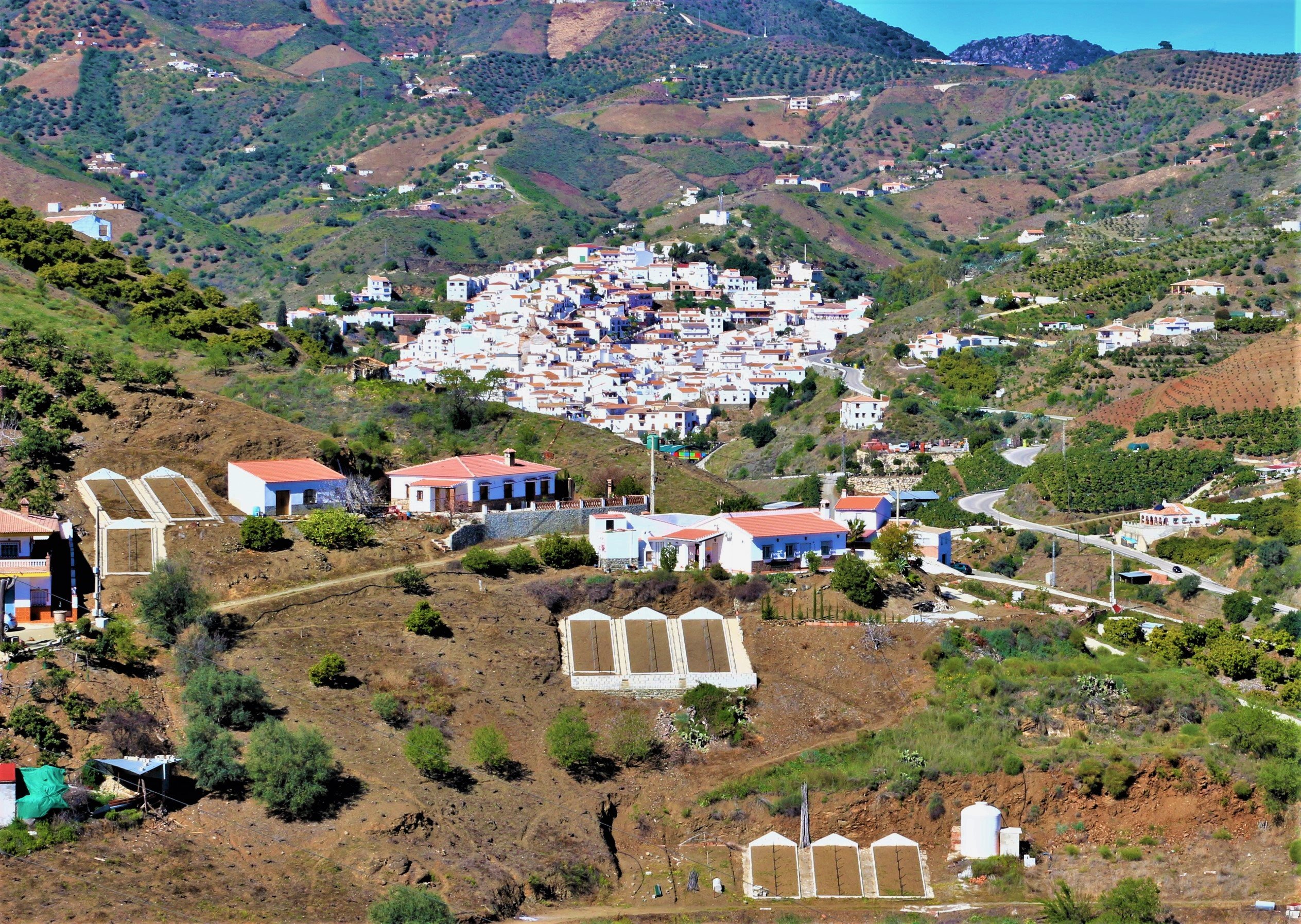 El Borge vista pueblo