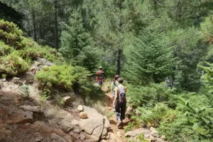 Turismo de Naturaleza en Andalucía : Sierra de Bermeja en la Costa del Sol