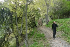 Turismo de rural y de Naturaleza en Andalucía : bosque del Genal