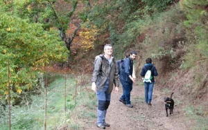 Turismo de rural y de Naturaleza en Andalucía : bosque del Genal