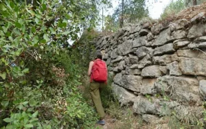 Nature day trip in Ronda