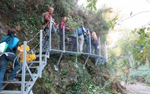 une passerelle de la forêt du Genal