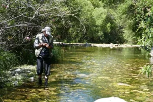 observation de la nature dans une rivière de la Costa del Sol