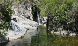 A river in Costa del Sol