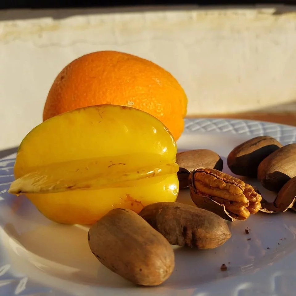Fruits tropicaux en Andalousie : carambole
