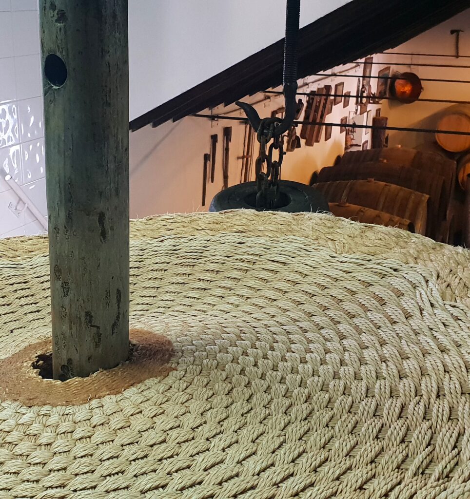 wine excursion from nerja see wine production local process