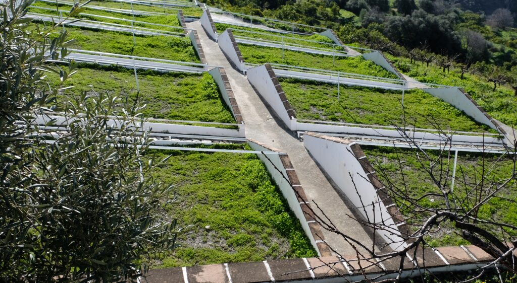wine tour from nerja paseros wine local process