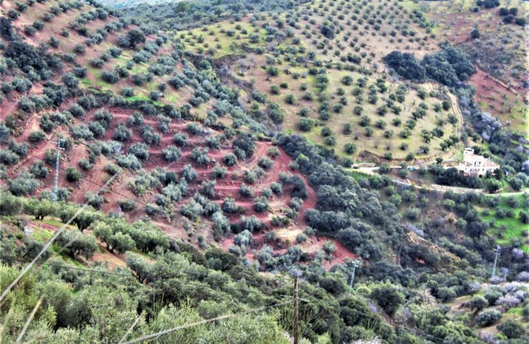 Alfarnate ctra velez