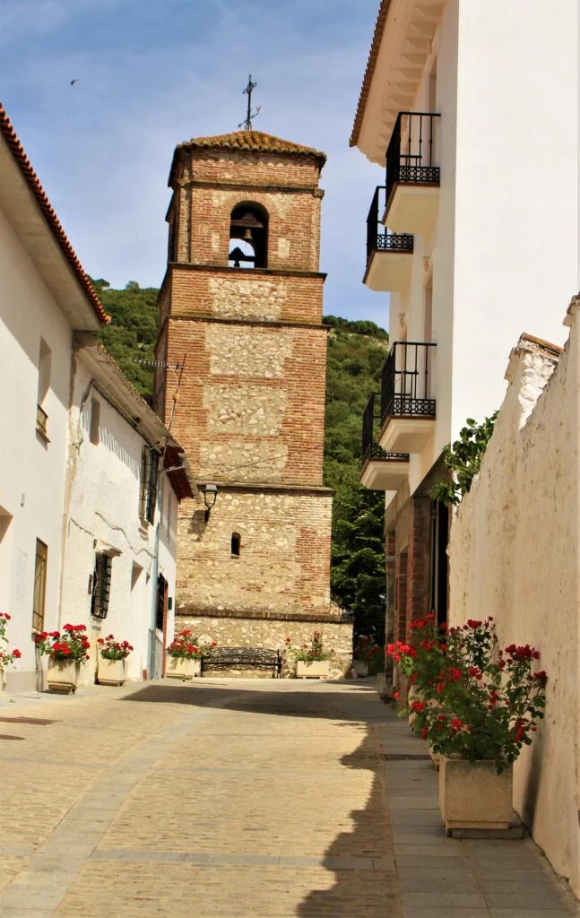 Alfarnatejo iglesia