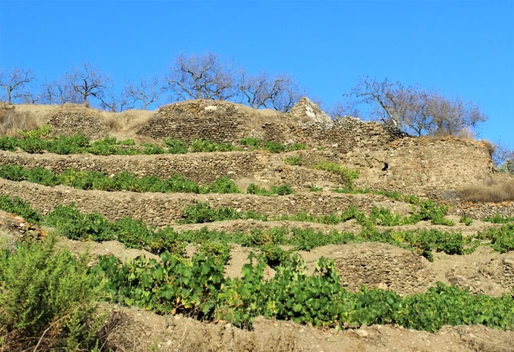 balates à Arenas, murs de pierres sèches