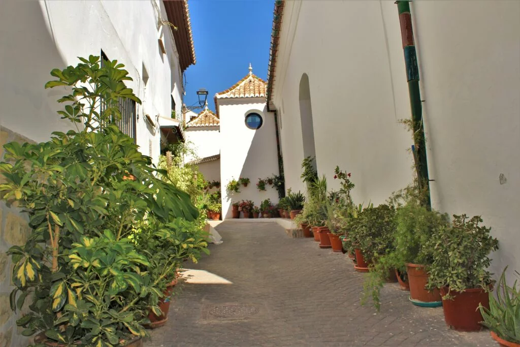 Canillas de Aceituno calle y macetas