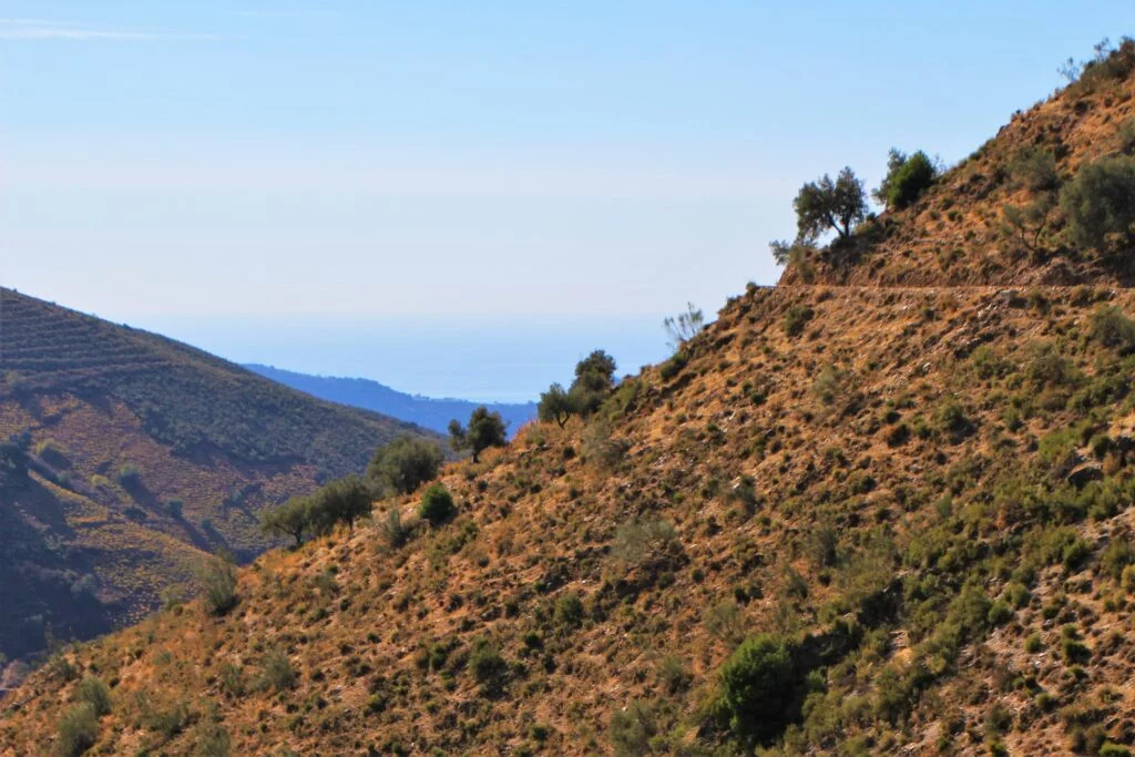 el saltillo à Canillas de Aceituno