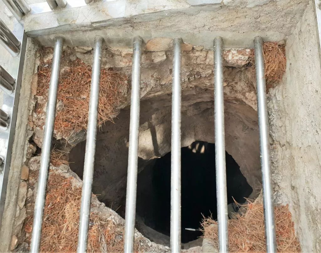 nerja cave discovered in 1959