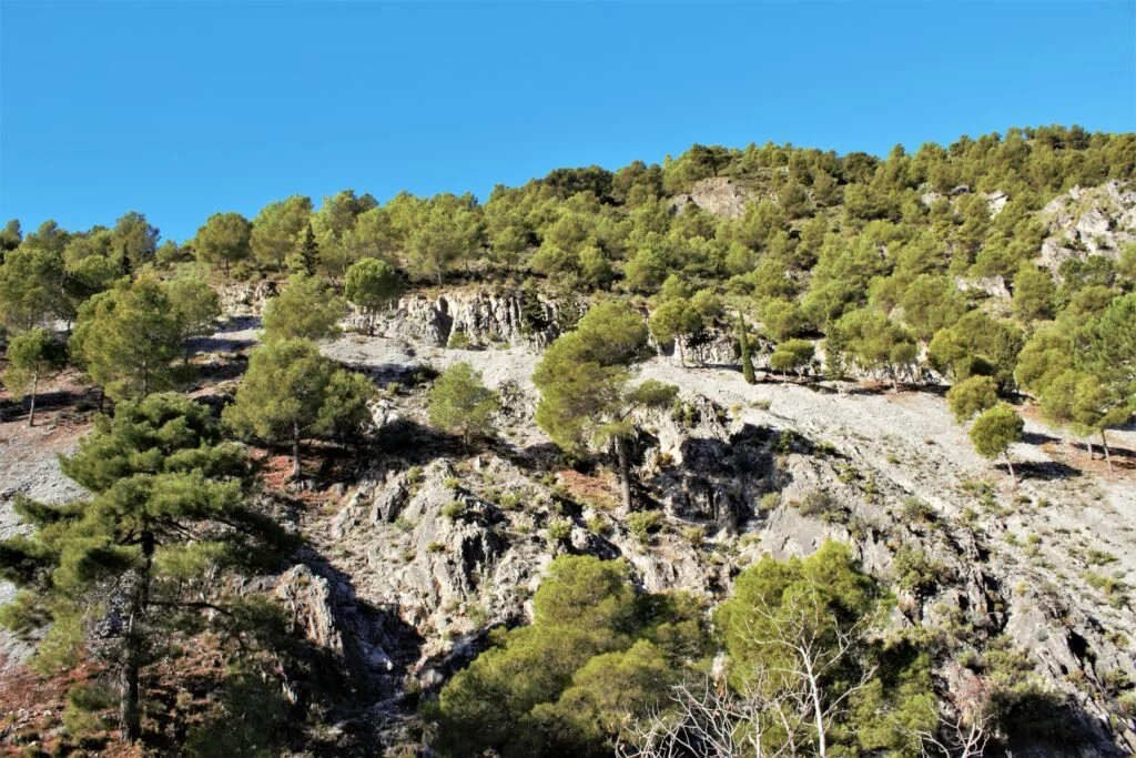 Randonnée en Andalousie Fabrica de la luz à Canillas de Albaida