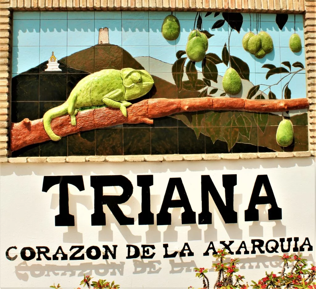 triana velez entrada pueblo