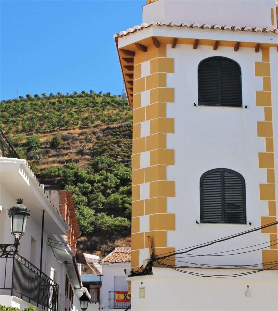 Algarrobo calle