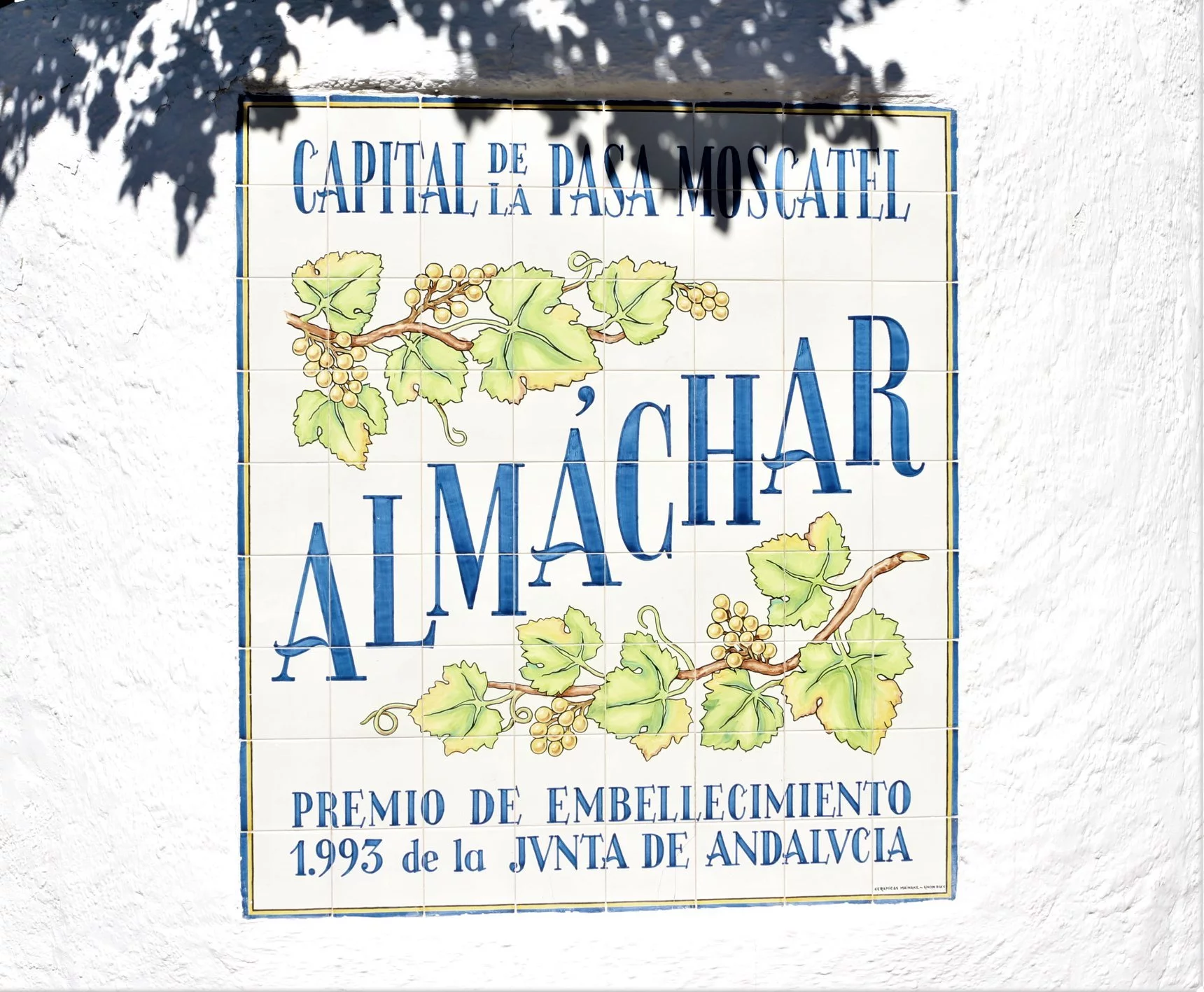 almachar pasa moscatel