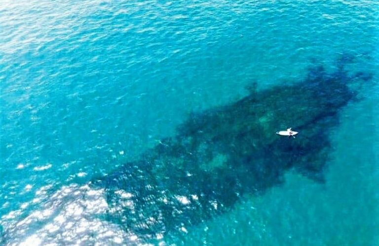 el barco del arroz : plongée sur épave de bateau en Andalousie, à Torrox