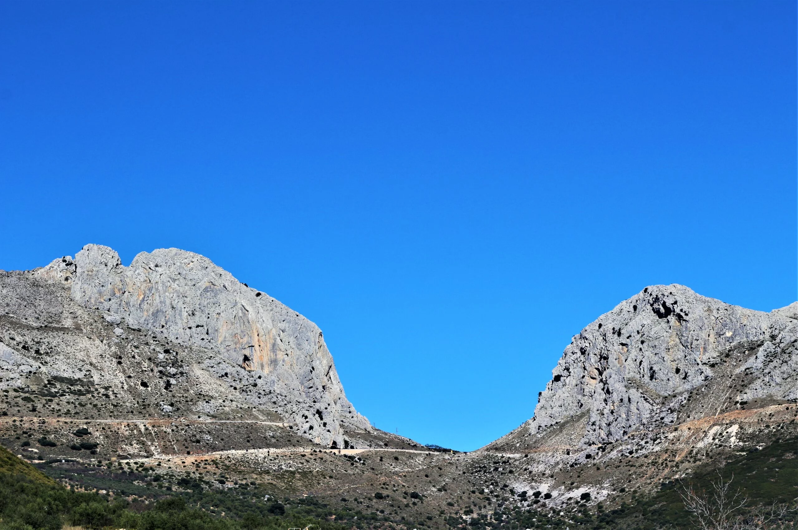 Bosquete de Zafarraya 2