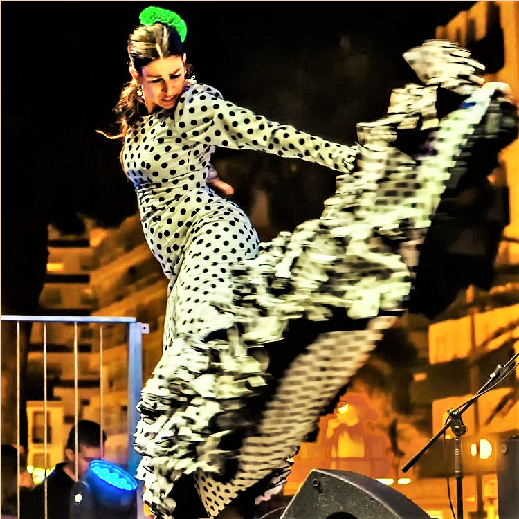 Bailadora Flamenco