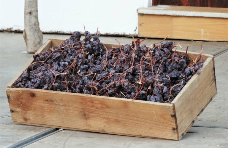 El museo de la pasa en Almachar en Axarquia Raisin museum in Almachar