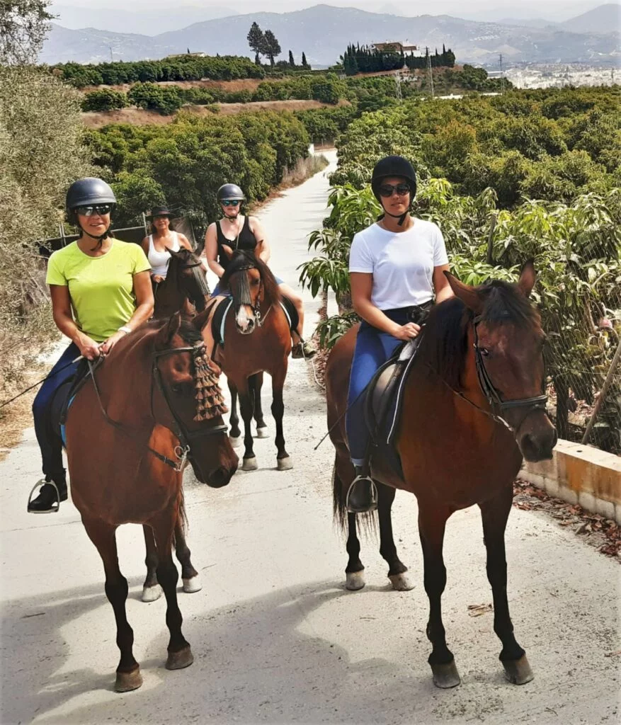 Balade à cheval dans les environs de Malaga
