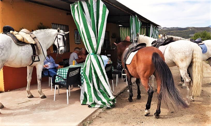 Ruta a caballo en la Costa del Sol durante el almuerzo