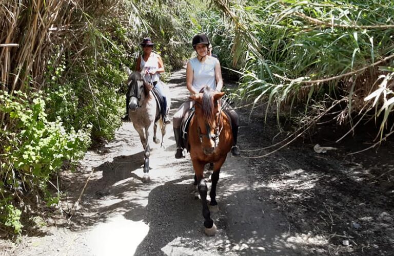Balade à cheval dans la province de malaga