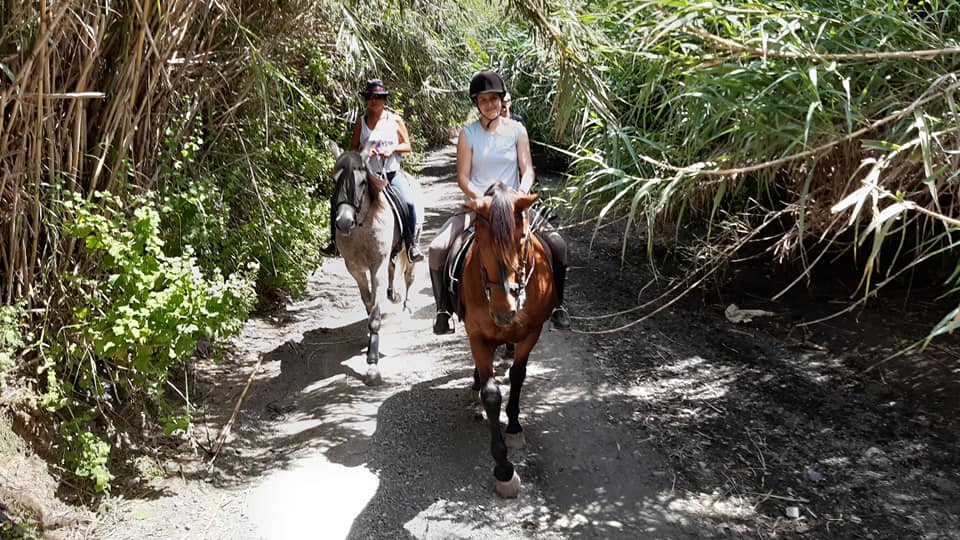 Balade à cheval dans la province de malaga