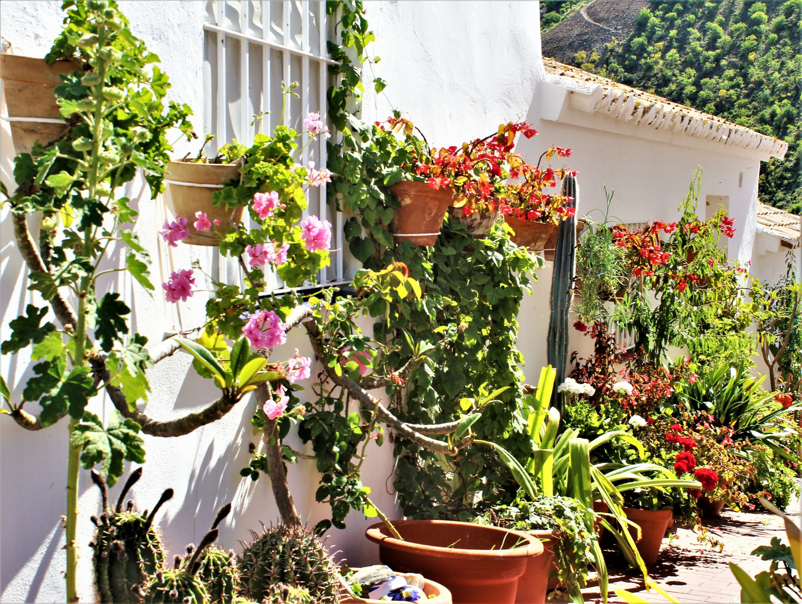 Benagalbon y sus calles