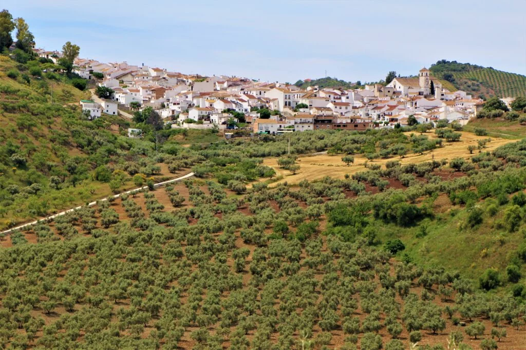 Colmenar vista parcial en Andalucia en Axarquia