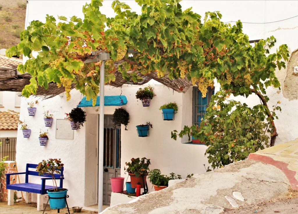 La Viñuela una casa en Los Gomez