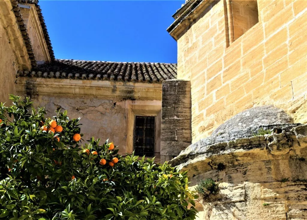 eglise del carmen alhama de granada avec des orangers