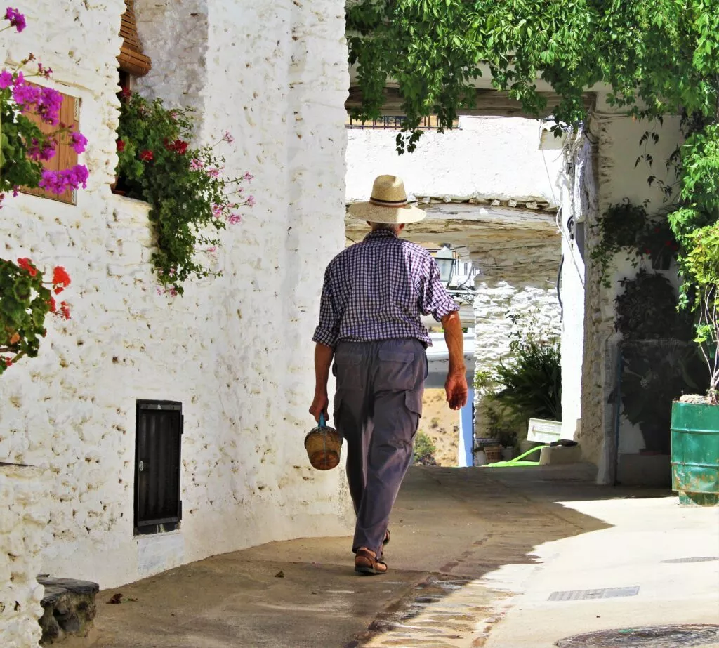 alpujarra capileira