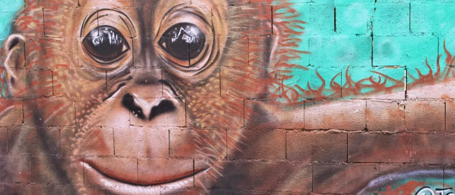 street art malaga en el barrio de lagunillas