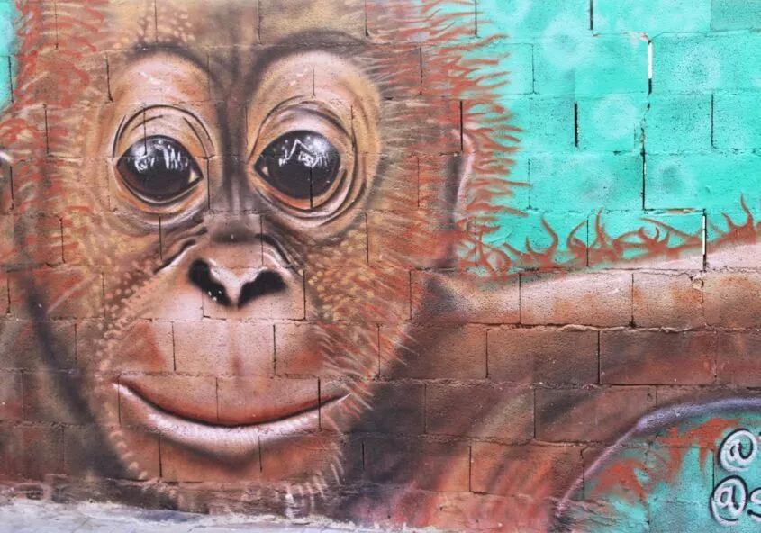 street art malaga en el barrio de lagunillas
