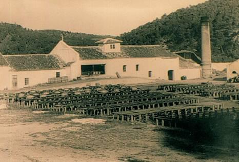 antigua foto de la resinera de fornes en Arenas del Rey
