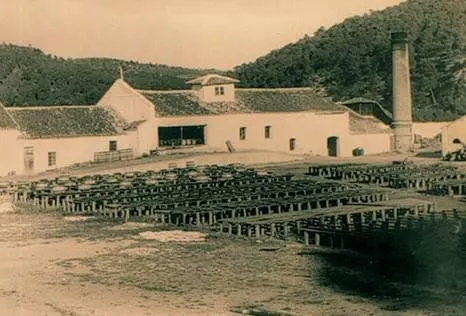 antigua foto de la resinera de fornes en Arenas del Rey