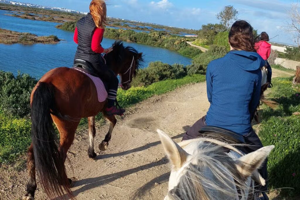 paseo ruta caballo andalucia cadiz chiclana de la frontera en las marismas