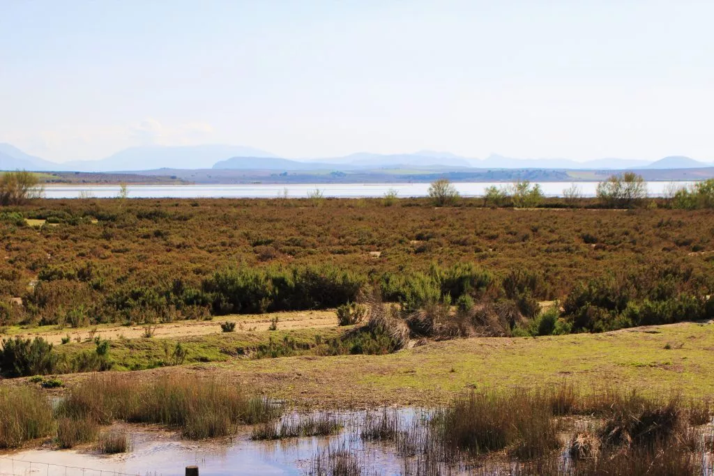 laguna Fuente de Piedra