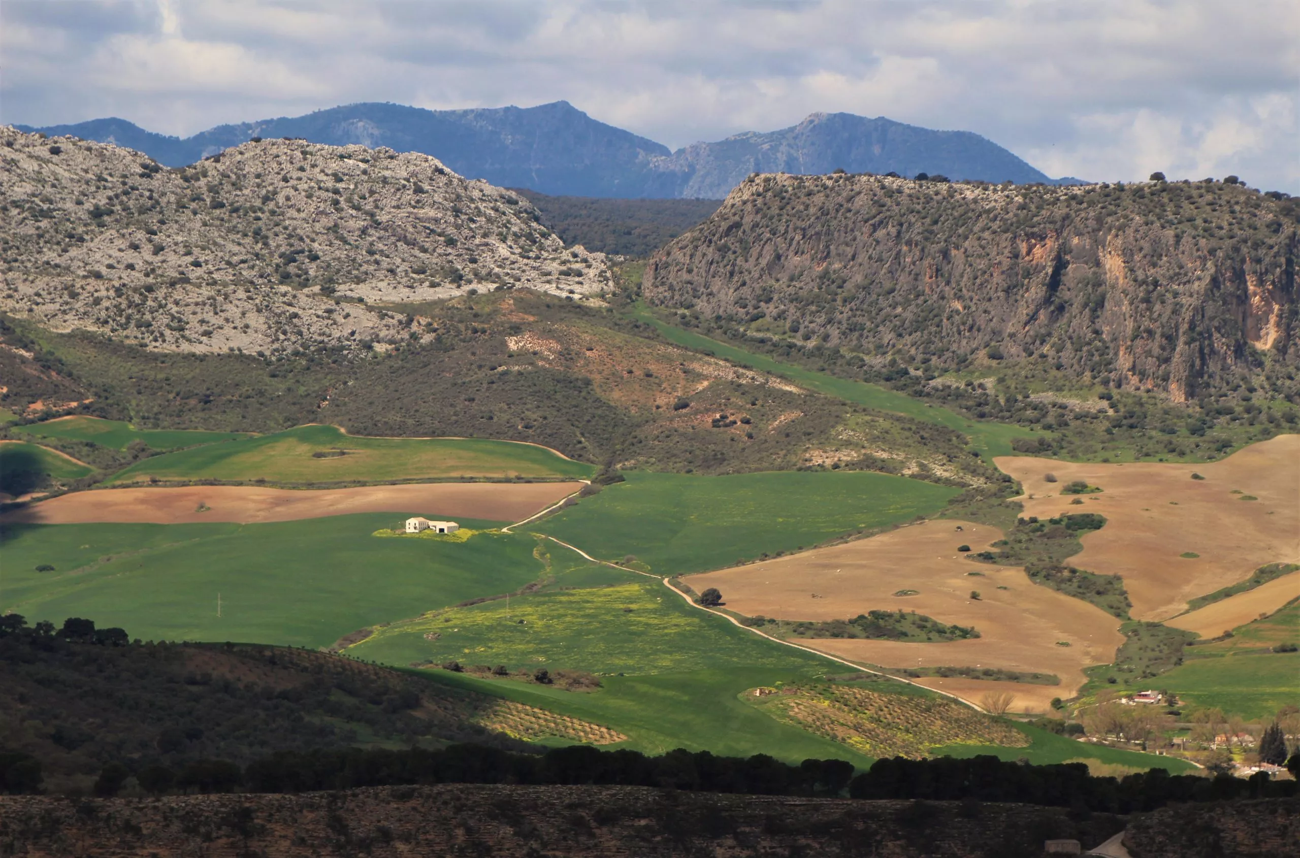 ronda vista mirador del cono