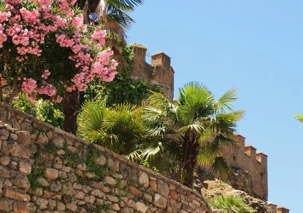 marbella-alcazar