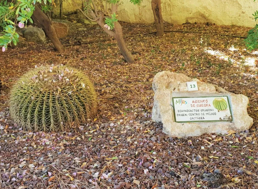 mijas-pueblo-ruta-botanica