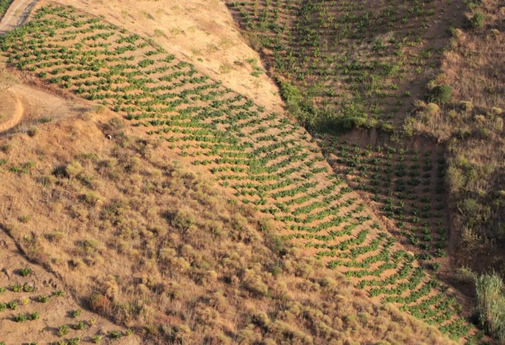 ruta de la pasa axarquia