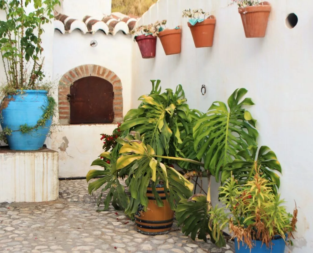 lost village frigiliana acebuchal