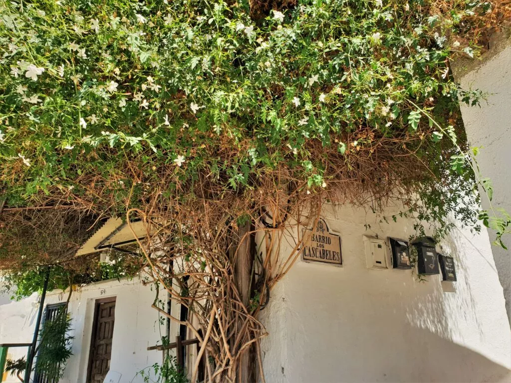 sacromonte-in-granada