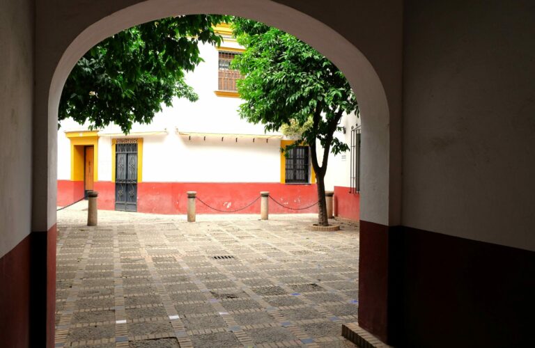 visite guidee seville francais tour prive quartier santa cruz et centre de séville