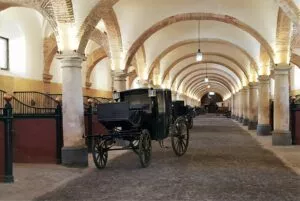 visita-cordoba-caballerizas-reales